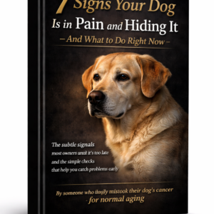 7 signs your dog is in pain and hiding it — and what to do right now